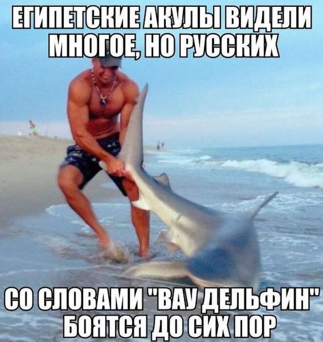 Анекдот дня