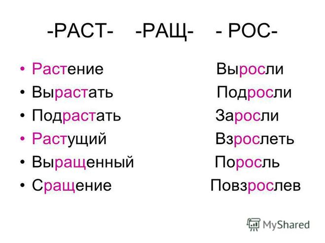 Когда пишется корень -рас и -рос?