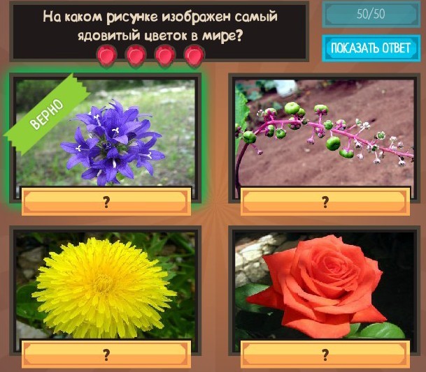 текст при наведении