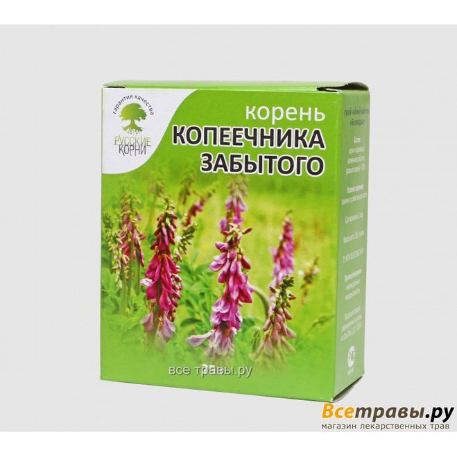 Растение красный корень. Фото, какие свойства, описание?