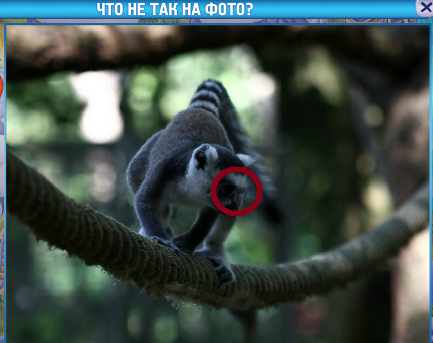 текст при наведении