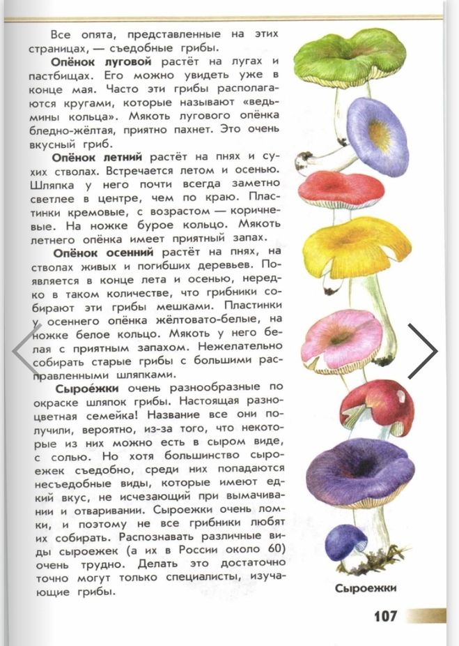 Атлас определитель грибы "От земли до неба" - где читать онлайн?