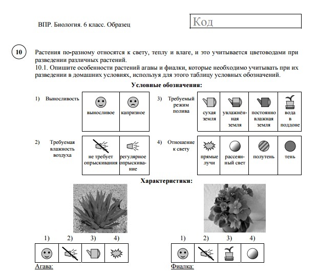 ВПР по биологии 6 класс 2020, задания, ответы, демоверсии, где найти?