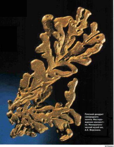 Что такое дендрит?