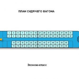 текст при наведении