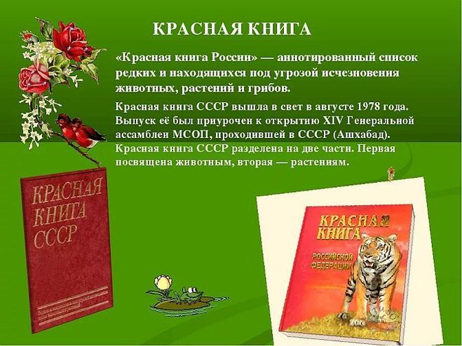 Окр мир 4 класс Как правильно сделать проект "Международная Красная книга"?