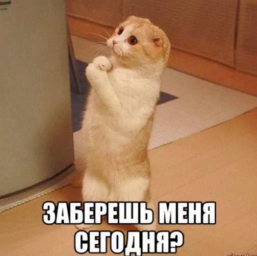 Как правильно пишется слово заберешь или забирешь