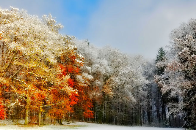 Какие изменения в живой природе происходят осенью?