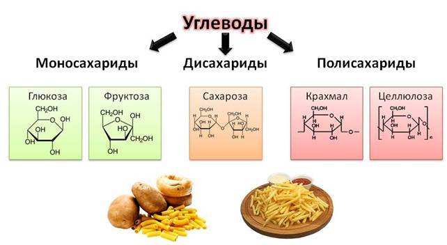 Чем полисахариды отличаются от моно- и дисахаридов?