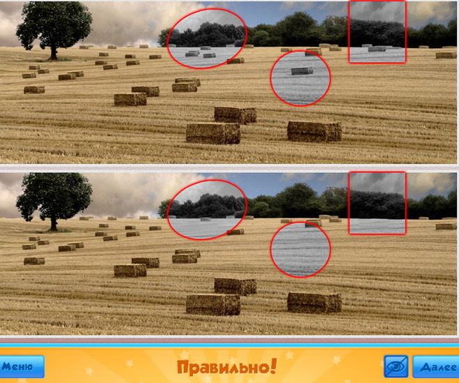 текст при наведении