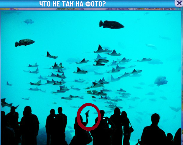 текст при наведении