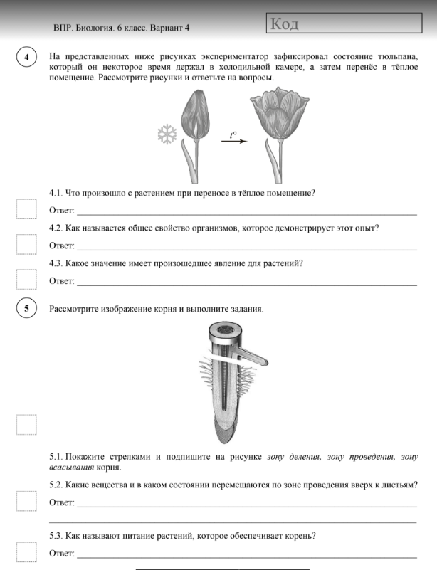 ВПР по биологии 6 класс с ответами 2018 год все варианты-где найти/скачать?