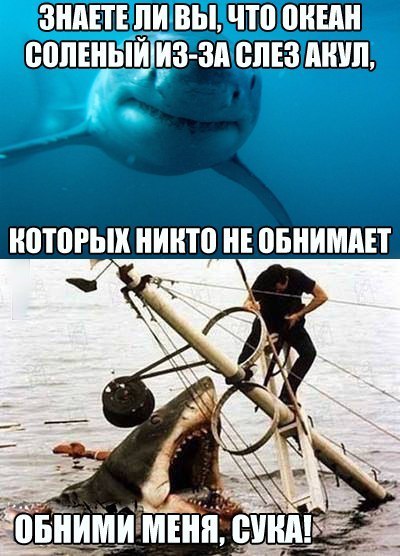 Анекдот дня