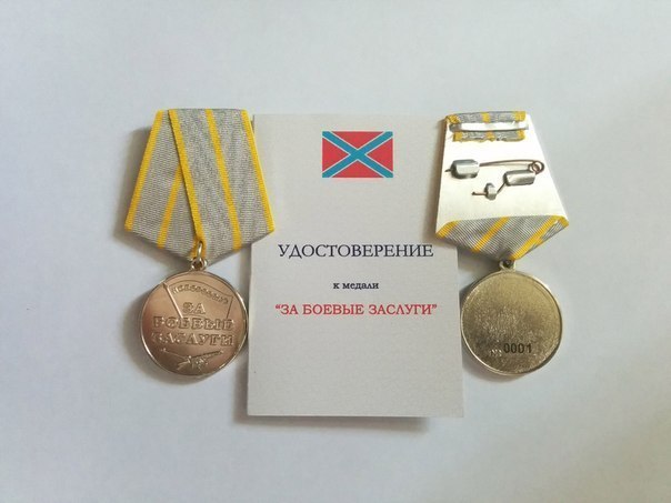 Какие награды есть в ДНР и ЛНР?