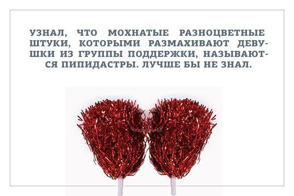 Что такое пипидастры?