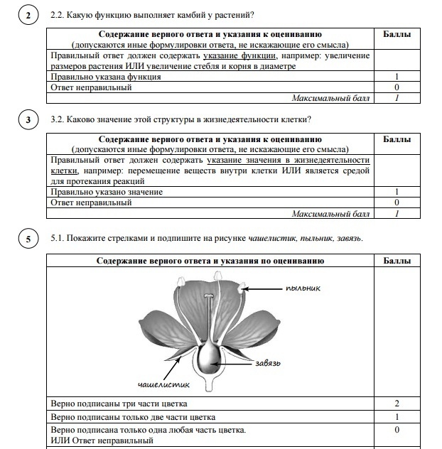 ВПР по биологии 6 класс 2020, задания, ответы, демоверсии, где найти?
