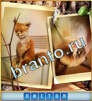 текст при наведении