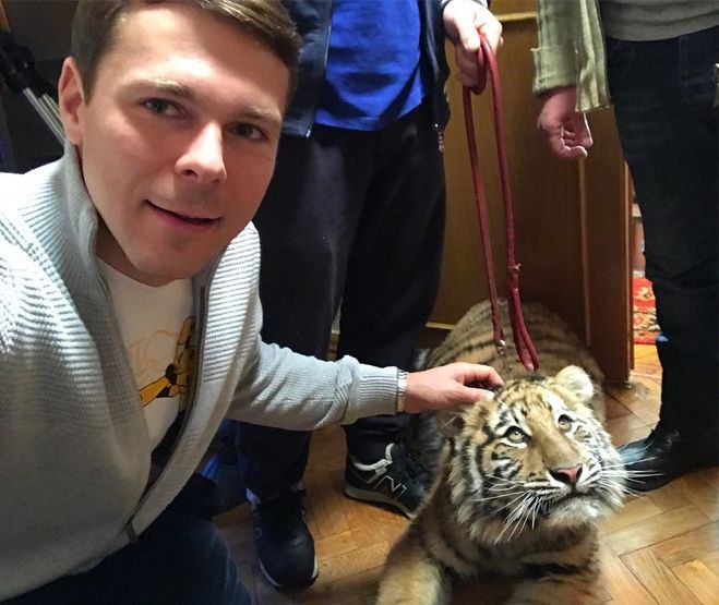 Тимофей Майоров.Чем занимается, где живет, возраст, личная