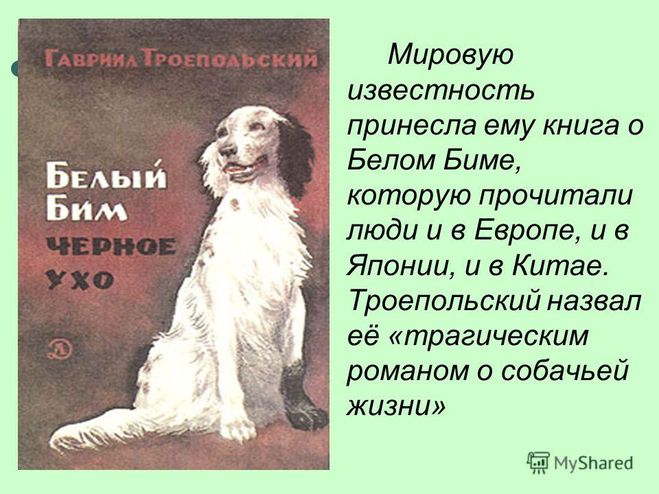Верность и Измена в произведении Белый Бим черное ухо, что