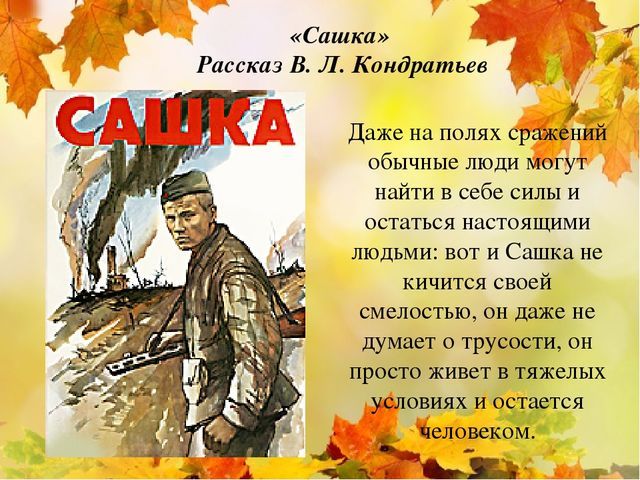 Месть и великодушие. Аргументы Сашка, Капитанская дочка