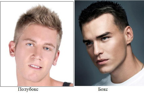 Chto Koroche Boks Ili Poluboks