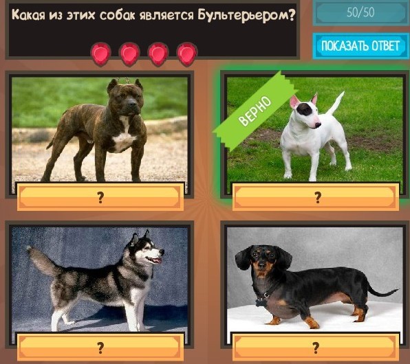 текст при наведении