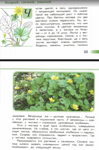 Книга Зелёные страницы 4. класс Растения и животные лесных зон-где читать?