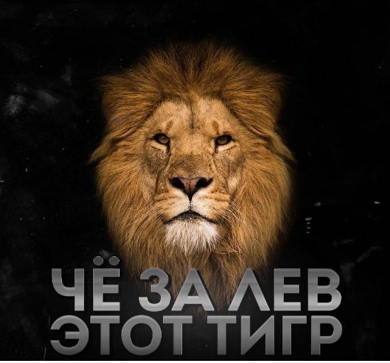 "Что за тигр этот лев", что за мем, какой текст песни, откуда эта фраза?