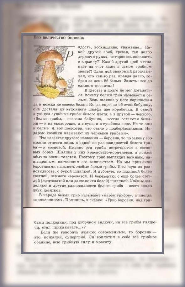 "Зеленые страницы" рассказ "Его величество боровик": где читать, о чем?